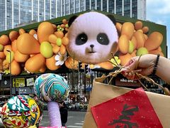 -蜀大侠火锅(总府路店)