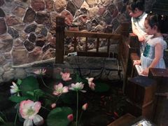 -山芋腔苏北菜(盐城滨海店)