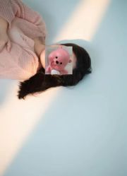 -拾光年华摄影馆(菱角湖公园店)