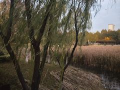 -滨湖塘西河公园
