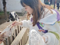 -乌村