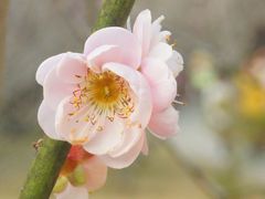 -桃花涧