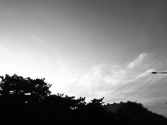 -抱龙峪