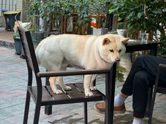 -豆舞咖啡(民乐路店)