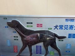 -瑞派康怡24h宠物医院·犬猫医疗中心·微创绝育(瑞景分院)