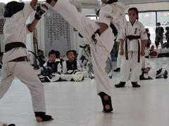 -极真空手道修远道场