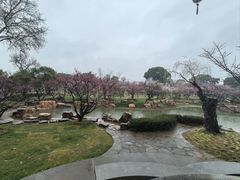 -无锡梅园公园