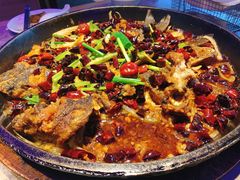 -老板恋上鱼(恒隆广场店)