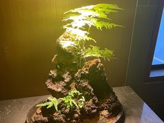 -水之惠鲜鱼料理(王府大街店)