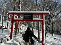 -宫城藏王狐狸村