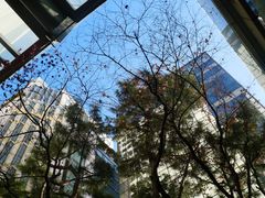 -乐天免税店(明洞店)