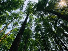 -南京金牛湖风景区