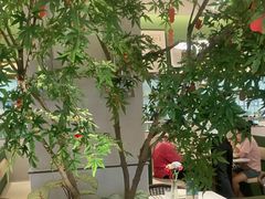 -Aqua Oasis 水天堂(太湖中心mall店)