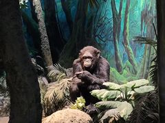 -国家自然博物馆