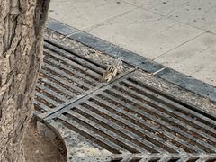 -长春市南湖公园