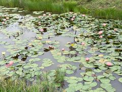 -露天矿生态公园