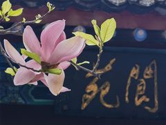 -万寿八仙宫