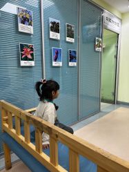 -北京惠民中医儿童医院