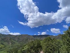 -北京鹫峰国家森林公园