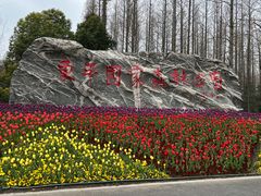 -东平国家森林公园