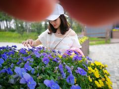 -田园东方蜜桃村的田野营地