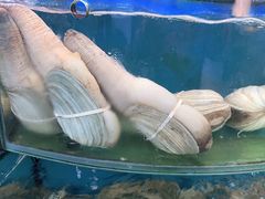 -渔中舟海鲜大排档(普陀沈家门店)