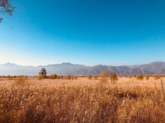 -野鸭湖国家湿地公园