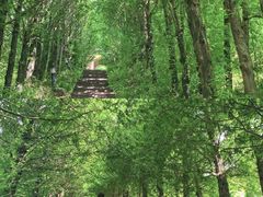 -东白山