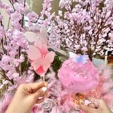 中山新的!樱花下午茶太好看了!!!🌸