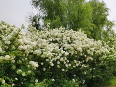 -漕湖湿地公园