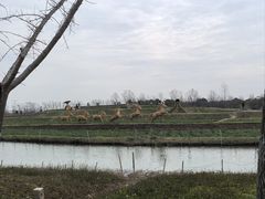 -乌村