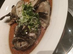 -同庆楼(滨湖万达广场店)