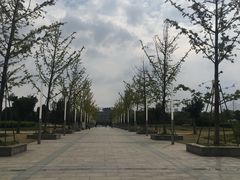 -九里河湿地公园