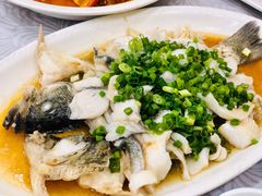 香葱淋鲈鱼-粤·向群饭店(龙津东路总店)