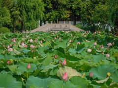 -丝绸小镇荻港古村
