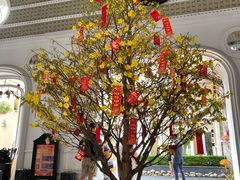 -富国岛翡翠湾 JW 万豪度假酒店