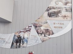 -太原动物园