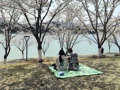-羊山湖公园