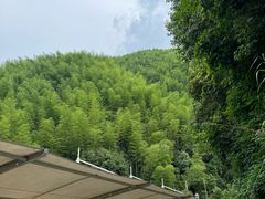 -将军关探险漂流