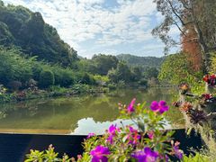-深圳仙湖植物园