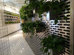 -CoCo都可(360丰产店)