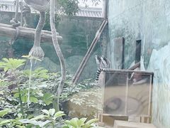 -成都动物园