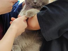 -美联众合动物医院·24h转诊中心