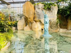 -南宫五洲植物乐园