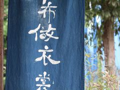 -秀丽东方