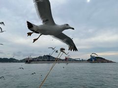 -海驴岛(荣成市)