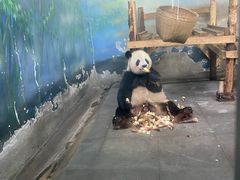 -无锡动物园·太湖欢乐园