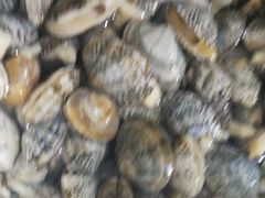 -宾朋海鲜特色美食餐厅·纯手工鲅鱼水饺(兴海路店)