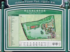 -荷兰花海