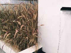 -COFFEEOLOGY咖啡学(天银店)